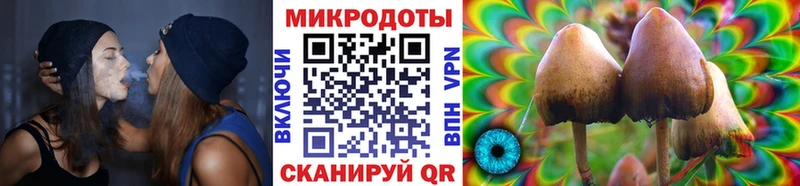 Купить где  Феодосия  Псилоцибиновые грибы GOLDEN TEACHER 